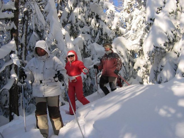  raquetas de nieve en el bosque 